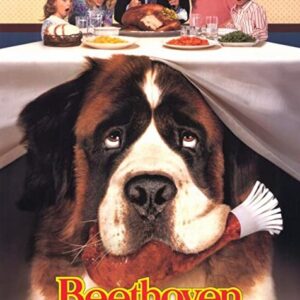 Beethoven: O Magnífico