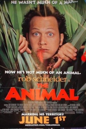 Animal