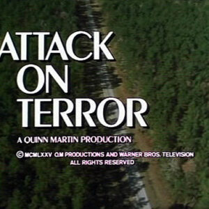 Ataque ao Terror