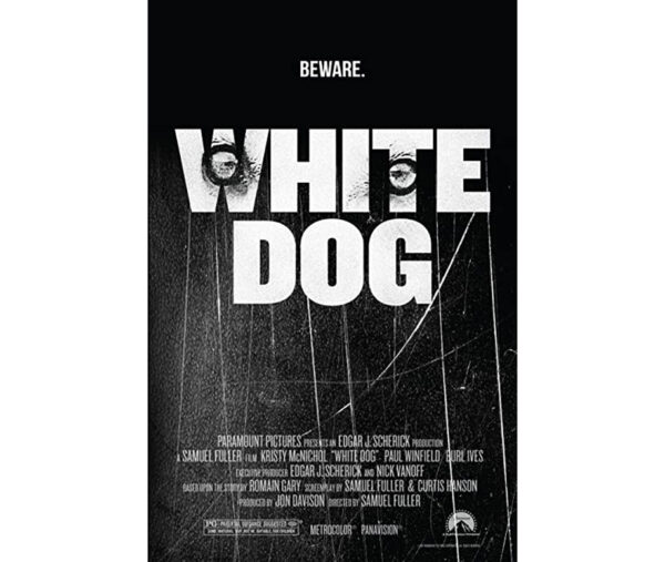 Cão branco