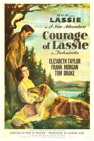A Coragem de Lassie