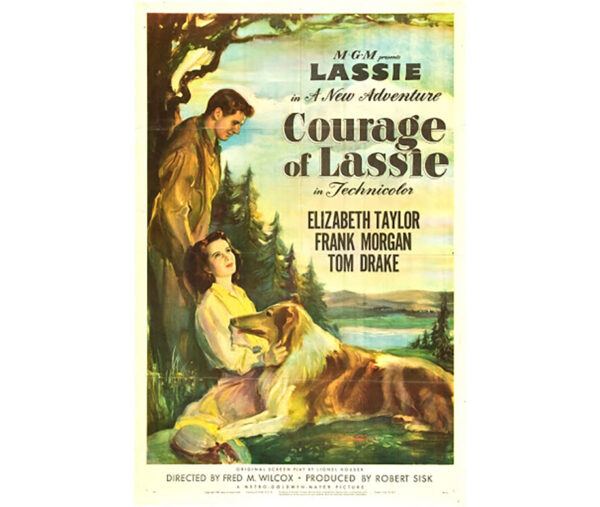 A Coragem de Lassie