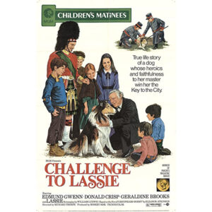 Desafio de Lassie