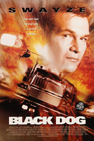 Estrada alucinante