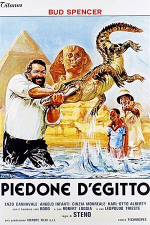 Flatfoot on the nile aka Um Tira Enrolado