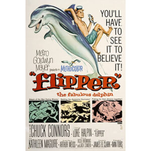 Flipper - O Menino e o Delfim