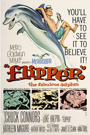 Flipper - O Menino e o Delfim
