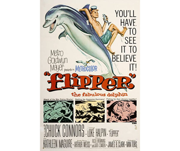 Flipper - O Menino e o Delfim