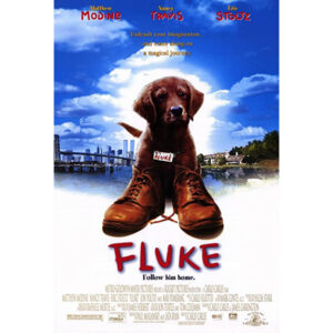 Fluke - Lembranças de Outra Vida