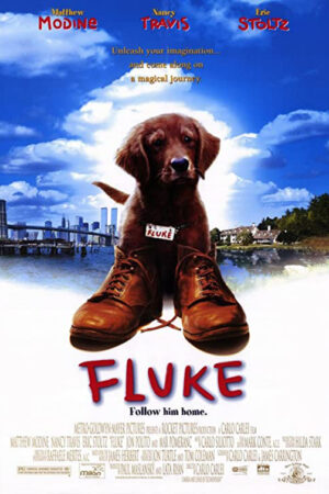 Fluke - Lembranças de Outra Vida
