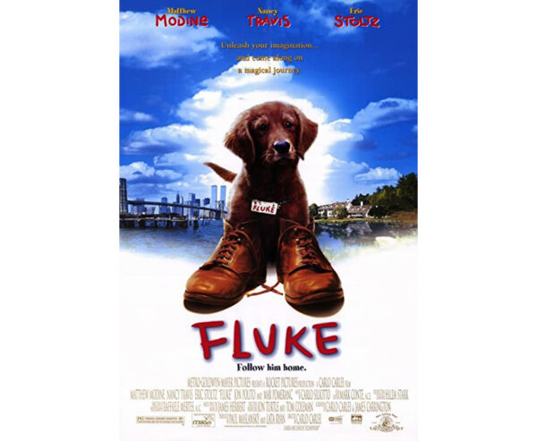Fluke - Lembranças de Outra Vida