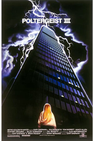 Poltergeist 3 - O capítulo final