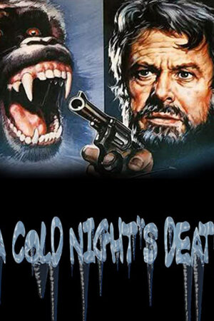A Morte Numa Noite Fria