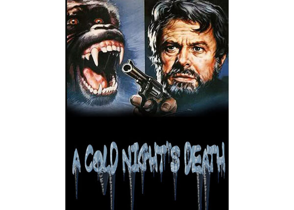A Morte Numa Noite Fria