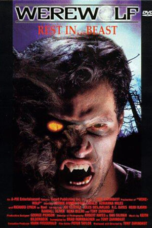 A noite do lobo