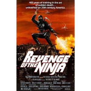 A vingança do ninja