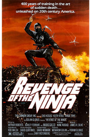 A vingança do ninja