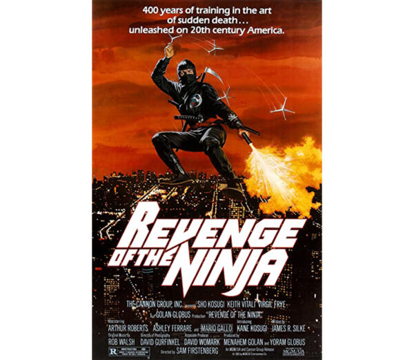 A vingança do ninja