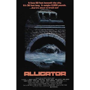 Alligator