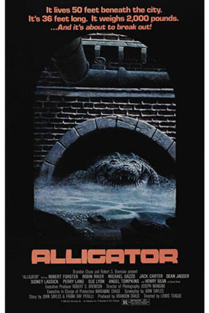 Alligator