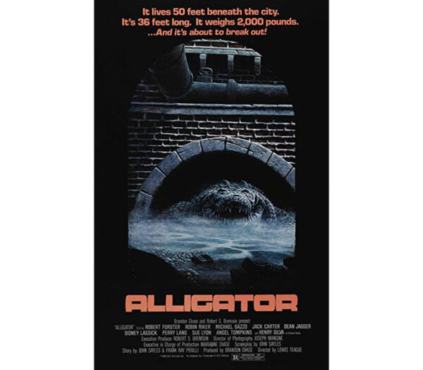 Alligator
