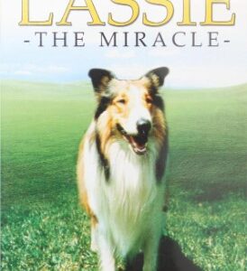 Lassie: Emoção Milagrosa