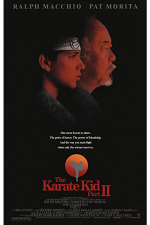 Karatê Kid 2 - A hora da verdade continua