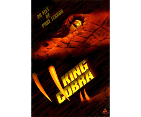 King Cobra