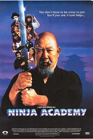 Loucademia de ninjas