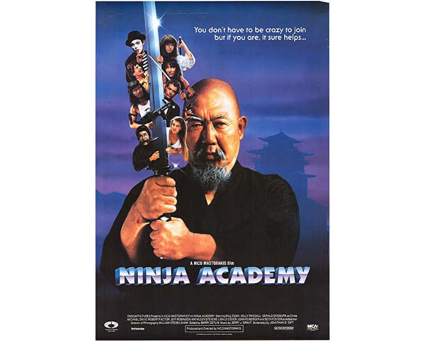 Loucademia de ninjas