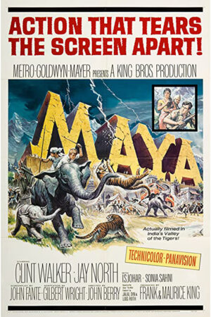 Maya