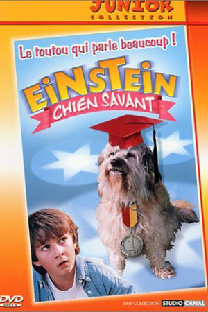 Meu amigo Einstein