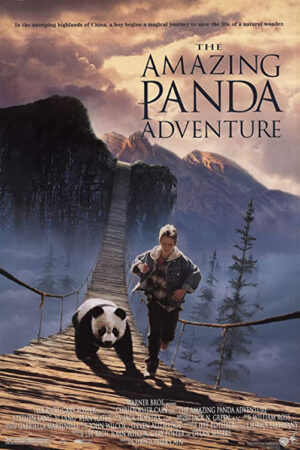 Meu amigo panda