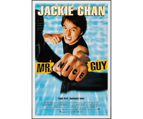 Mr. Nice Guy - Bom de briga
