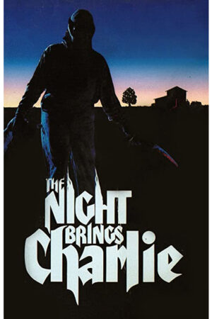 Nas sombras da noite
