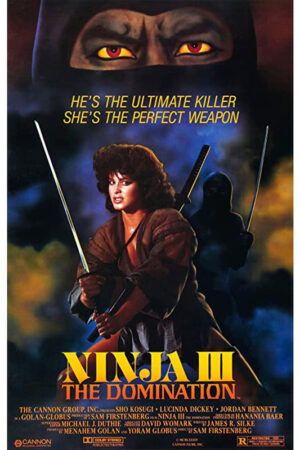 Ninja 3 - A dominação