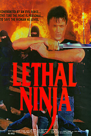Ninja Justiceiro