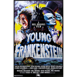 O Jovem Frankenstein