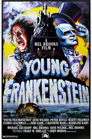 O Jovem Frankenstein
