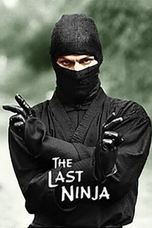 O último ninja