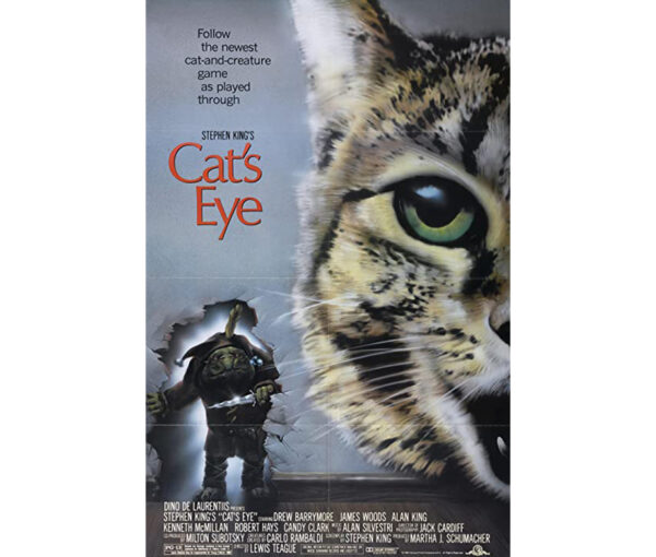 Olhos de gato