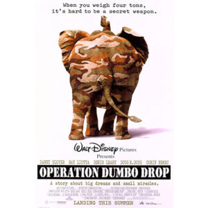 Operação dumbo