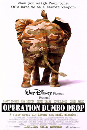 Operação dumbo