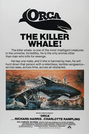 Orca - A baleia assassina