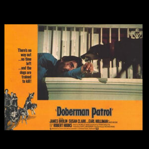 Os dobermans atacam