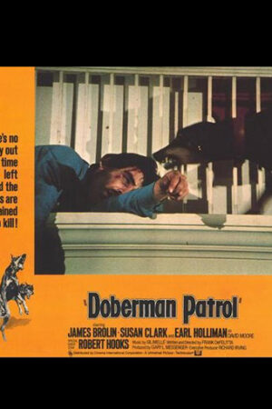 Os dobermans atacam