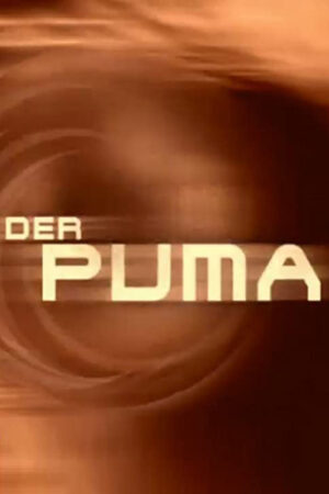 Puma - O Guerreiro das Ruas