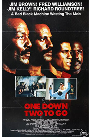 Revanche de Sangue aka kick Boxers - O Confronto
