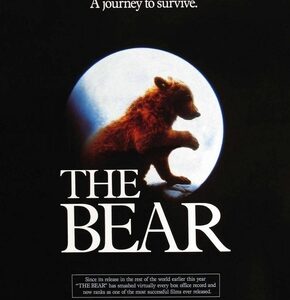 O Urso