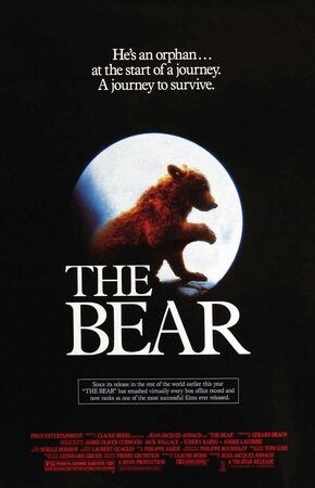 O Urso